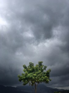 Sky Fall