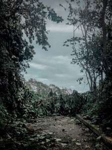 Land Stories 1